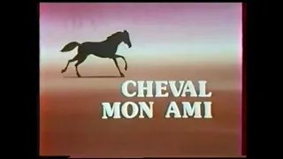 Cheval Mon Ami 🐎 ყაბარდოული➰ცხენი ჩემი მეგობარი 🐎 Кабардинский➰Конь Мой Друг