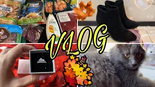 VLOG:закупка продуктов/сапожки/новый питомец/день рождение/Pandora