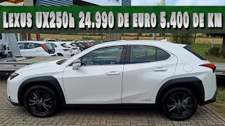 Lexus UX250h Executive 2019 cu doar 5400 de km