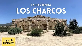 Conociendo un Lugar de CACTÁCEAS | Ex Hacienda Los Charcos | Tula, Tamps, MX 🇲🇽