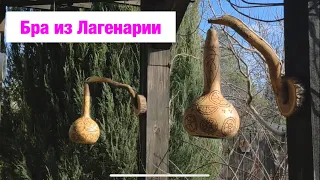 Бра из Лагенарии. Поделки переделки. Мастер класс.