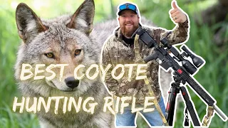 BEST Coyote Hunting Rifle Setup | Coyote Hunting Gear