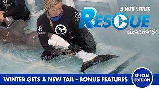 Winter Gets a New Tail - Rescue Clearwater Season 1 Bonus Episode