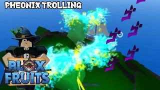Blox Fruits - Phoenix Trolling!🐦(ft: Sibii)