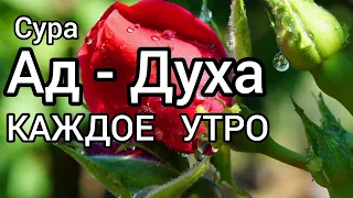 Сура " Ад- Духа"  Слушать каждое утро! Для достатка в доме и баракэта...