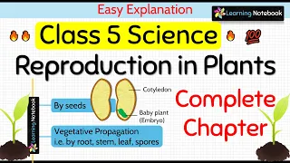 Class 5 Science Chapter 1 Reproduction in Plants