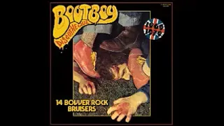 Various – Bootboy Discotheque (14 Bovver Rock Bruisers) 60's 70's Pub Rock Psychedelic Acid Music LP