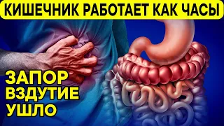 Кишечник Работает как Часы! ЗАБУДЬ о БОЛИ в ЖИВОТЕ!