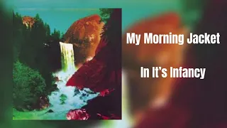 My Morning Jacket - In It’s Infancy (In 432Hz)