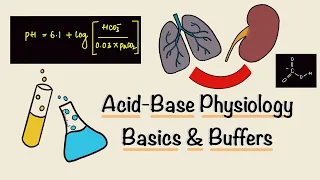 Acid Base Physiology | Part One | Basics | Buffers | Renal Physiology
