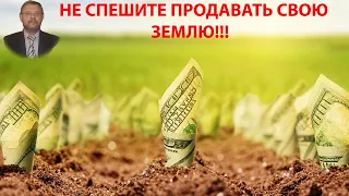 Не спешите продавать свою землю