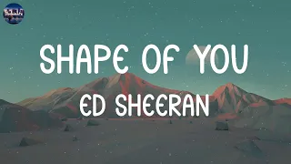 Ed Sheeran - Shape of You (Lyrics) | Shawn Mendes, David Kushner,... (MIX LYRICS)