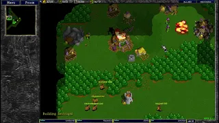 Warcraft 2 Doesnt matter how many peons you got, I will do that