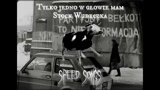 Tylko jedno w głowie mam / Polish Cow Song (speed up)