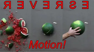 Create Reverse Motion Effect: VideoPad Video Editor (English)