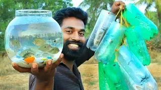 Simple Fish Trap With Plastic Bottle | ഇനി  കുപ്പിയുണ്ടെങ്കിൽ മീൻ പിടിക്കാം  | M4 Tech |