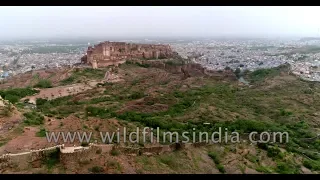 Bird-eye view of Jodhpur blue city in perfect balance with mighty Mehrangarh