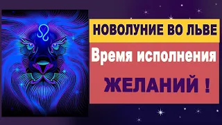 8 августа 2021 Новолуние во Льве для знаков Зодиака. Сфера исполнения желаний!