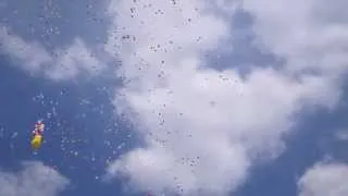 воздушные шарики с гелием запускают в небо