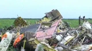 Ukranian President compares MH17 to 9/11