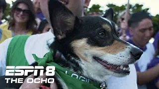 Milo Benz FETCHES the win in the 2023 Corgi Races at Emerald Downs 🐶 | ESPN8: The Ocho