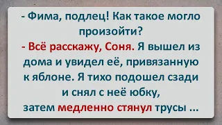 ✡️ Подлый Фима Шпильман! Анекдоты про Евреев! Выпуск #114