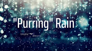 Cat Purring to Sleep | THE LOUDEST PURRING in the Rain | Feeling Peaceful & Happy