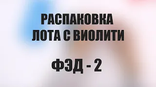 Распаковка лота ФЭД -2 квадратное окно с Виолити