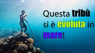 In questa tribù sono in grado di trattenere il respiro sott'acqua per 13 MINUTI!