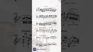 【韶琴】西贝柳斯D小调小提琴协奏曲第一乐章 Sibelius Violin Concerto in D minor first movement