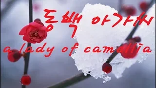 동백 아가씨.장사익 [cover.nadam]