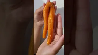 sexy carrot