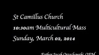 St Camillus Church, Multicultural Mass 10:30am, 03/02/14, Father Jacek