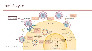 Human Immunodeficiency Virus (HIV)