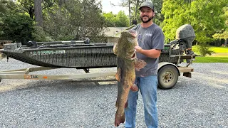 CATCHING A RIVER MONSTER ON A LIMB LINE! “Huge Flathead”(How to set limb lines! tips, tactics)