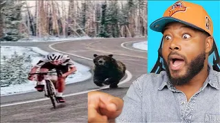 15 Animals Attack Caught On Camera While Cycling | REACTION