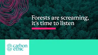 Forests are screaming, it's time to listen