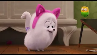 Illumination Presents: The Secret Life of Pets 3 | Trailer 1 | Only in Theaters