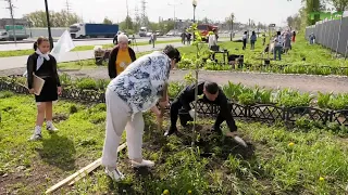 В Самаре высадили липовую аллею в рамках акции "Лес Победы"