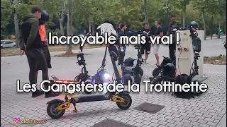The New Gangsters of Electric Scooters ! BRONCO Extreme 11