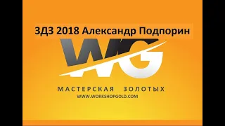 ЗДЗ 2018 Александр Подпорин