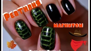 Reptile Magnet. Simple Nail Design. Open the package from NOGTIKA