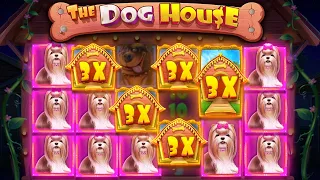 INSANE 1000x DOG HOUSE MEGAWAYS WIN!! (Bonus Buys)