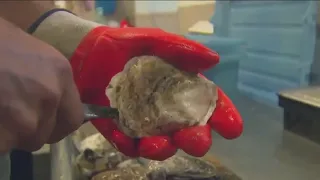 Man dies after eating raw oysters in Galveston