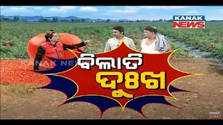 Tomato's Sorrow: Loka Nakali Katha Asali | Kanak News