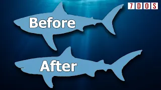 Megalodon Was Even Longer Than We Realised | 7 Days of Science