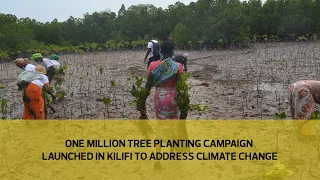 One million tree planting campaign launched in Kilifi to address climate change