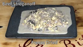 Beef Stroganoff Freeze Dried Ep295