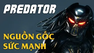 TẠI SAO PREDATOR LÀ THỢ SĂN QUÁI VẬT GIỎI NHẤT VŨ TRỤ?