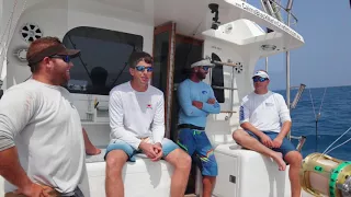 Cairns Black Marlin Fishing - HellRaiser2 - October 2017